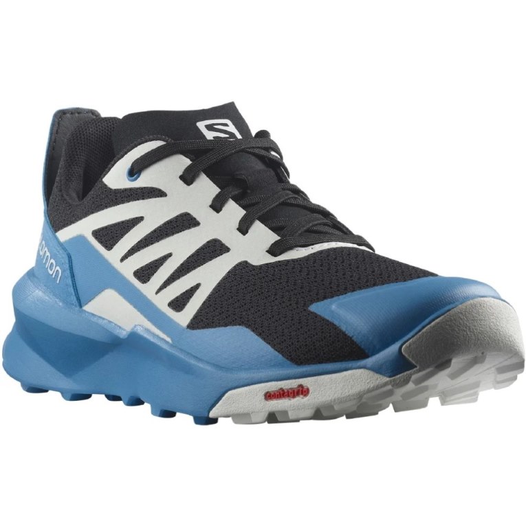 Blue / Black Salomon Patrol Kids' Hiking Shoes | PH 27408O